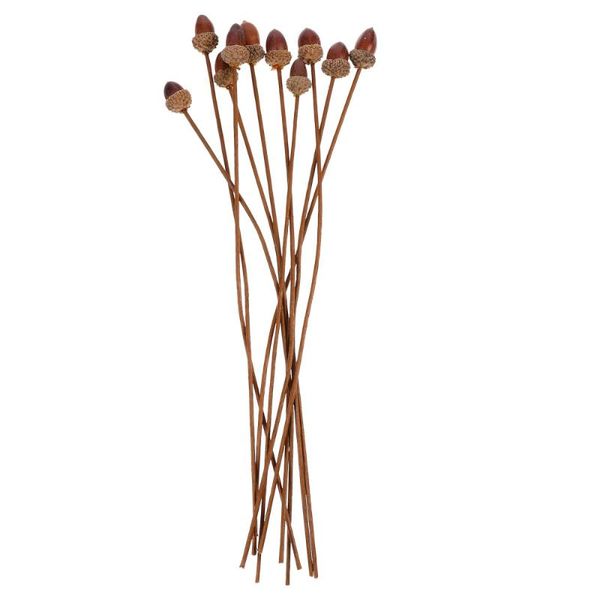 party decoration 10pcs lifelike imitation acorn bouquets set po props decorations
party decoration 10pcs lifelike imitation acorn bouquets set po props decorations