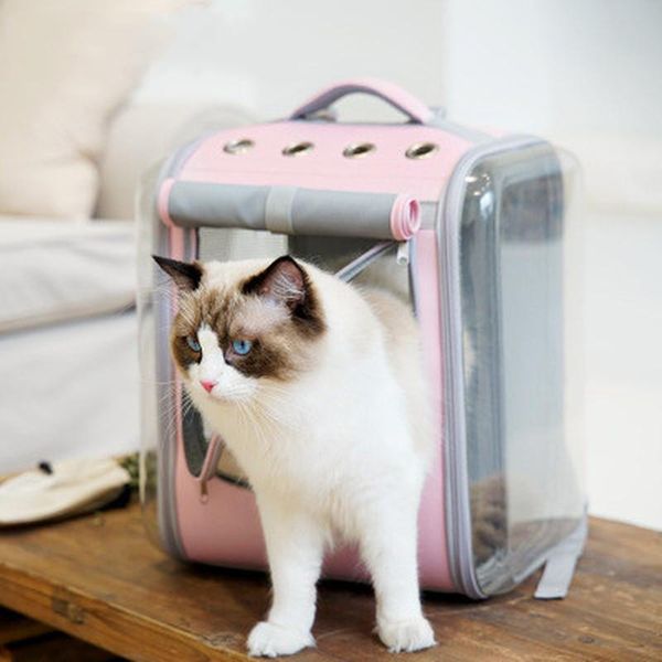 cat carriers,crates & houses fashionable simple space bag dog go out portable large transparent breathable pet backpack supplies
cat carriers,crates & houses fashionable simple space bag dog go out portable large transparent breathable pet backpack supplies