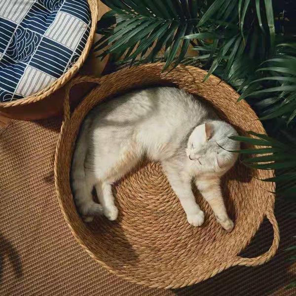 cat beds & furniture litter rattan bed four seasons general semi-enclosed dog supplies cattail weaving
cat beds & furniture litter rattan bed four seasons general semi-enclosed dog supplies cattail weaving