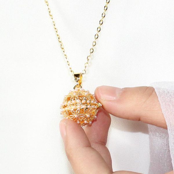 pendant necklaces 2pcs shining pearl locket necklace flower essential oil aroma diffuser, Silver
pendant necklaces 2pcs shining pearl locket necklace flower essential oil aroma diffuser, Silver