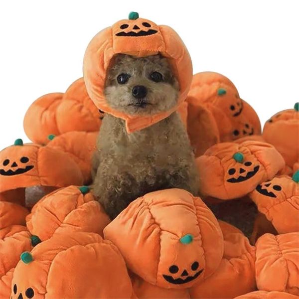 cat costumes cute pet halloween festival dress up pumpkin hat cosplay accessories caps for dogs hats pets funny costume
cat costumes cute pet halloween festival dress up pumpkin hat cosplay accessories caps for dogs hats pets funny costume