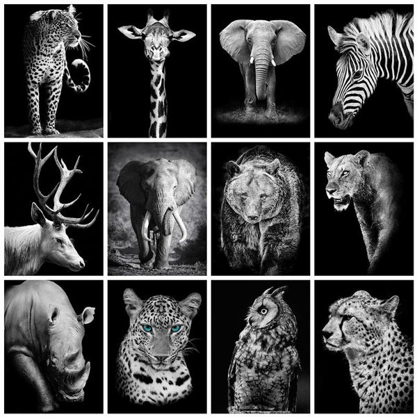 diamond painting evershine black white cross stitch 5d diy embroidery animals full square rhinestone pictures decoration home
diamond painting evershine black white cross stitch 5d diy embroidery animals full square rhinestone pictures decoration home