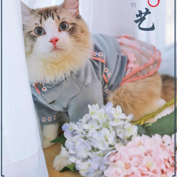 cat costumes spring fashion dresses autumn coat kitten cats clothes christmas outfit ubranka dla psa party oo50qz
cat costumes spring fashion dresses autumn coat kitten cats clothes christmas outfit ubranka dla psa party oo50qz