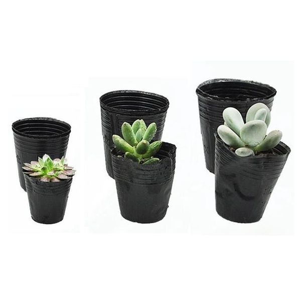 planters & pots nursery pot plastic plant seedlings seed starting flower container for gardener
planters & pots nursery pot plastic plant seedlings seed starting flower container for gardener