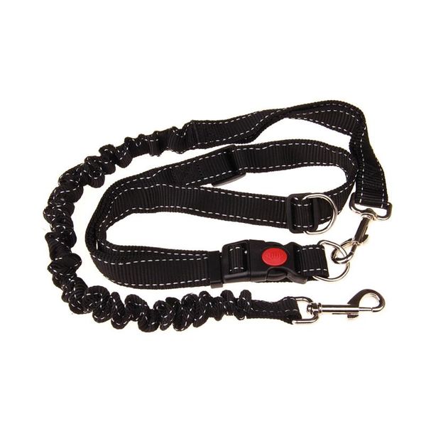 outdoor running training adjustable durable jogging dog leash walking traction belt elastic nylon practical hands pet
outdoor running training adjustable durable jogging dog leash walking traction belt elastic nylon practical hands pet