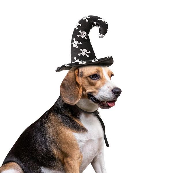 dog apparel 2021 pet hat halloween cat turned into a witch