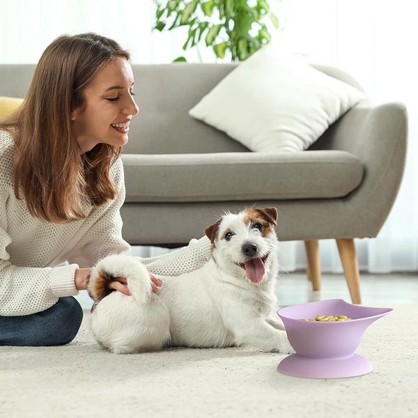 dog bowls & feeders 500ml non-slip cat high pet bowl with plate bottom suction cup leakproof water drink feeder container
dog bowls & feeders 500ml non-slip cat high pet bowl with plate bottom suction cup leakproof water drink feeder container