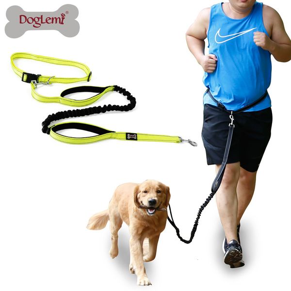 dog apparel pet clothes explosion proof punching belt reflective drawstring running traction rope multifunctional nylon sports walking
dog apparel pet clothes explosion proof punching belt reflective drawstring running traction rope multifunctional nylon sports walking
