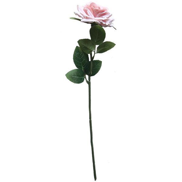 single rose simulation flower plant bonsai wedding decoration flower wall red rose office decor home decor bear
single rose simulation flower plant bonsai wedding decoration flower wall red rose office decor home decor bear