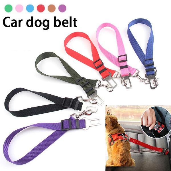 pet leash rope nylon tenacity cats dog leash training products for pets accessories car dog seat belt for
pet leash rope nylon tenacity cats dog leash training products for pets accessories car dog seat belt for