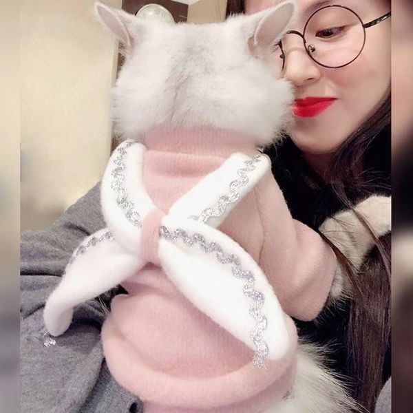 cat costumes clothes autumn angel decoration multi style anti hair size two legged pet
cat costumes clothes autumn angel decoration multi style anti hair size two legged pet