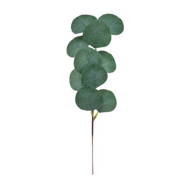 artificial eucalyptus leaves stems eucalipto branches artificial plants for floral bouquets wedding holiday greenery decor
artificial eucalyptus leaves stems eucalipto branches artificial plants for floral bouquets wedding holiday greenery decor