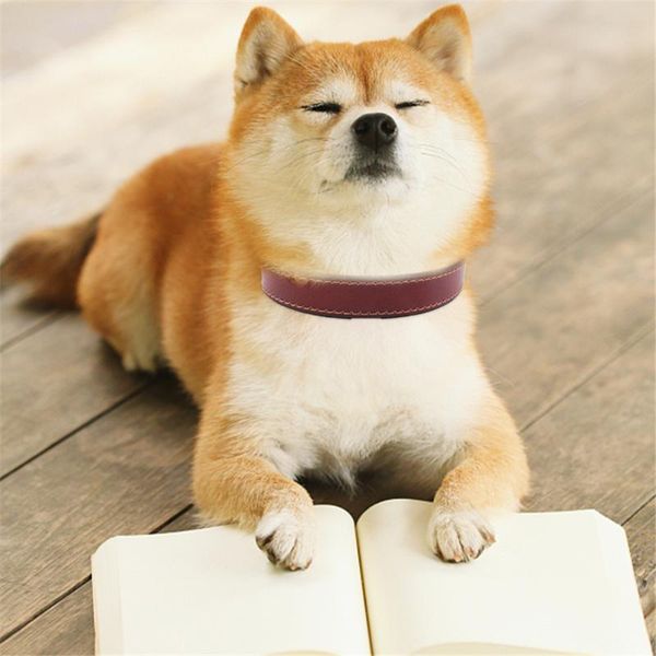 dog collars & leashes vintage soft leather material solid colour durable and adjustable collar for small medium-sized large pet supplies
dog collars & leashes vintage soft leather material solid colour durable and adjustable collar for small medium-sized large pet supplies