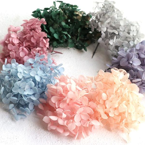 decorative flowers & wreaths 5g/lot hydrangea real dried flower dry plants for candleepoxy pendant necklace jewelry making craf
decorative flowers & wreaths 5g/lot hydrangea real dried flower dry plants for candleepoxy pendant necklace jewelry making craf