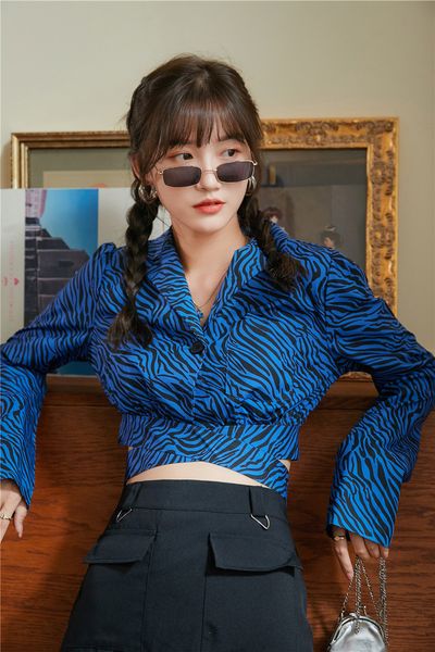 2021 new zebra print blue crop long sleeve women blouse v neck button up fashion and bloues clothes mz3y, White
2021 new zebra print blue crop long sleeve women blouse v neck button up fashion and bloues clothes mz3y, White