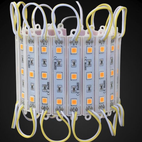 5054 smd 3 led module ip65 waterproof dc 12v super bright lighting light double sided adhesive anti-static for ad design
5054 smd 3 led module ip65 waterproof dc 12v super bright lighting light double sided adhesive anti-static for ad design