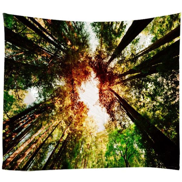 tapestries dreamy forest 3d printing tree tapestry wall hanging bed spread beach towel table cloth home decoration natural design
tapestries dreamy forest 3d printing tree tapestry wall hanging bed spread beach towel table cloth home decoration natural design