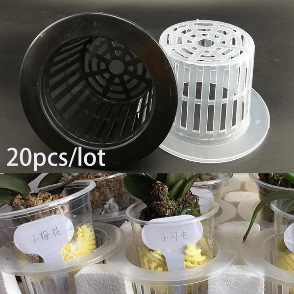 planters & pots 20x mesh pot net cup basket soilless hydroponic colonization plant grow holder hydro aeroponic planting clone nursery
planters & pots 20x mesh pot net cup basket soilless hydroponic colonization plant grow holder hydro aeroponic planting clone nursery