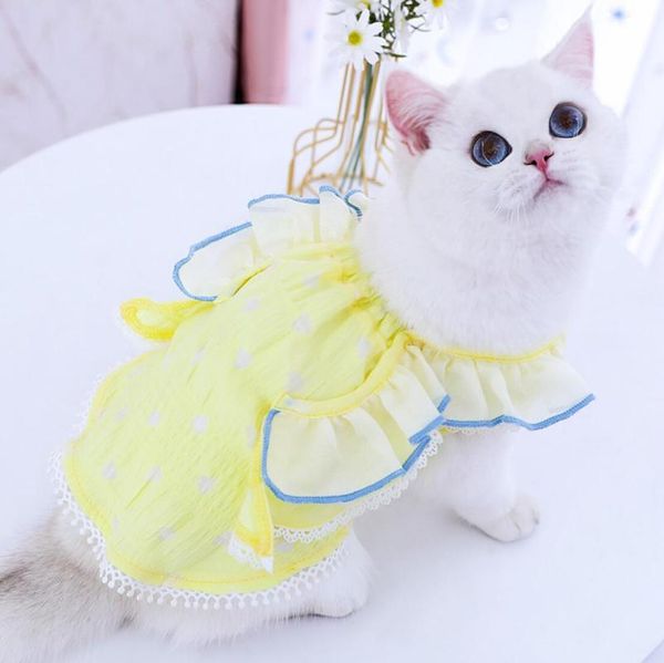 cat costumes summer dress for sphynx clothes princess small dog costume accessories
cat costumes summer dress for sphynx clothes princess small dog costume accessories