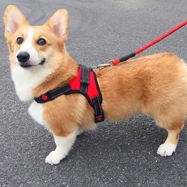 dog collars & leashes harness vest pet reflective nylon no pull adjustable medium large naughty safety vehicular lead
dog collars & leashes harness vest pet reflective nylon no pull adjustable medium large naughty safety vehicular lead