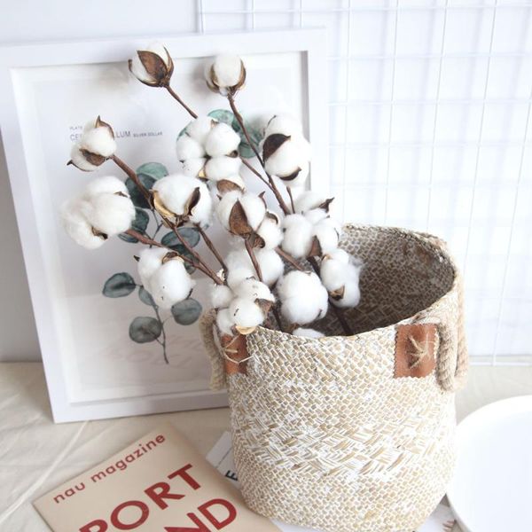 decorative flowers & wreaths 3pcs naturally dried cotton stems farmhouse artificial flower filler floral decor fake diy garland home #t2g
decorative flowers & wreaths 3pcs naturally dried cotton stems farmhouse artificial flower filler floral decor fake diy garland home #t2g