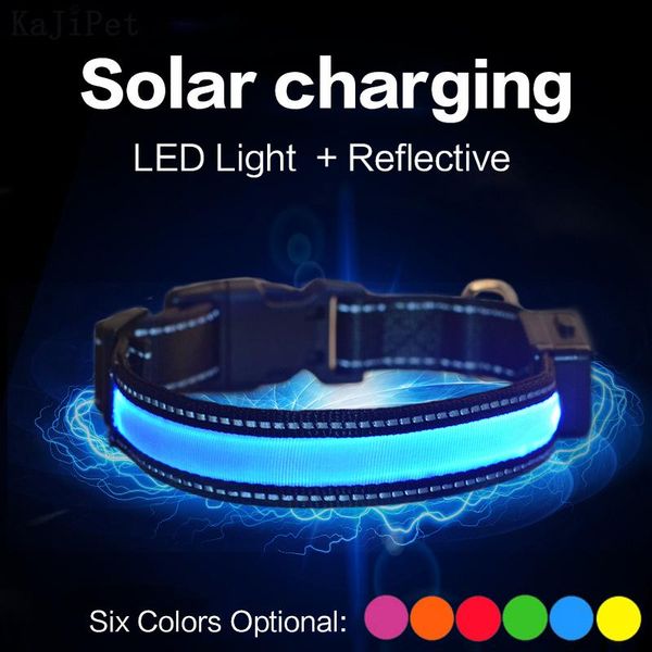 dog collars & leashes solar charging led collar usb rechargeable night safety perro adjustable pet light glowing
dog collars & leashes solar charging led collar usb rechargeable night safety perro adjustable pet light glowing