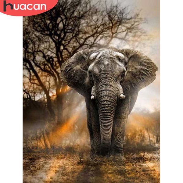 diamond painting huacan animal elephant cross stitch embroidery sun mosaic wall decoration handcraft
diamond painting huacan animal elephant cross stitch embroidery sun mosaic wall decoration handcraft
