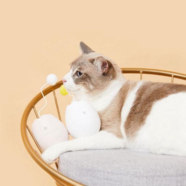 cat toys plastic wlectric toy ball type interactive pet product tumbler and owner interaction
cat toys plastic wlectric toy ball type interactive pet product tumbler and owner interaction