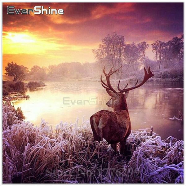 diamond painting 5d embroidery animals cross stitch picture of rhinestones mosaic landscape needle arts craft
diamond painting 5d embroidery animals cross stitch picture of rhinestones mosaic landscape needle arts craft
