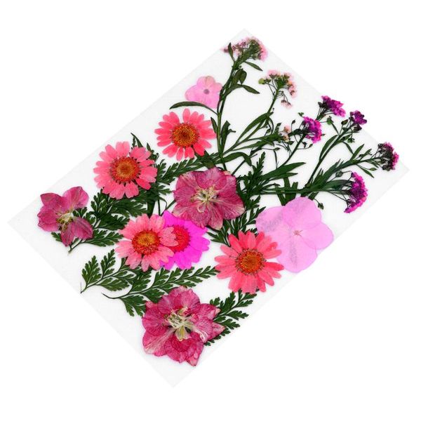 1 set flower plants specimen herbarium diy dried flower material pack mobile phone shell material lesso
1 set flower plants specimen herbarium diy dried flower material pack mobile phone shell material lesso