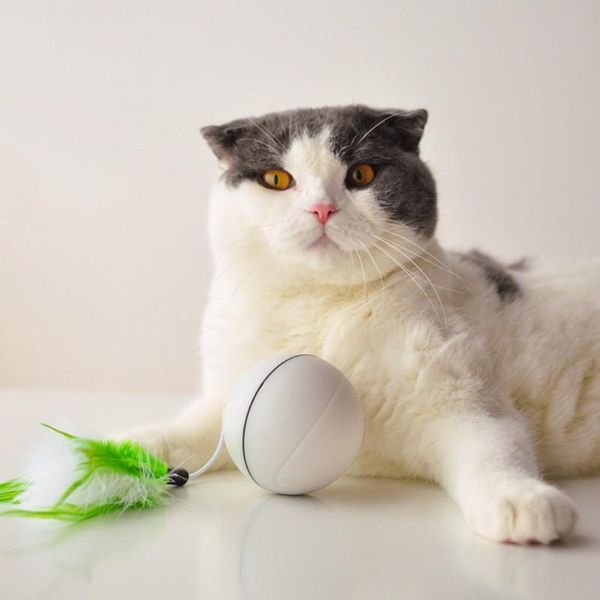 cat toys pet supplies toy laser ball with light dog molars chew training chewing rattle scratch catch
cat toys pet supplies toy laser ball with light dog molars chew training chewing rattle scratch catch