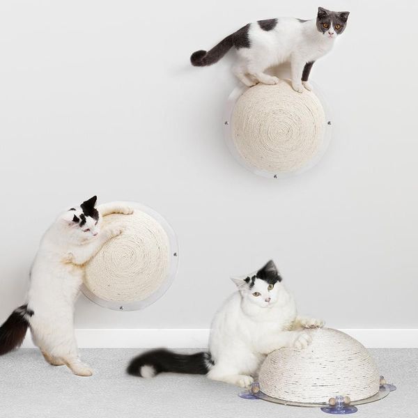 cat toys toy half ball scratcher sisal scratching domed with window suckers perch on wall for
cat toys toy half ball scratcher sisal scratching domed with window suckers perch on wall for