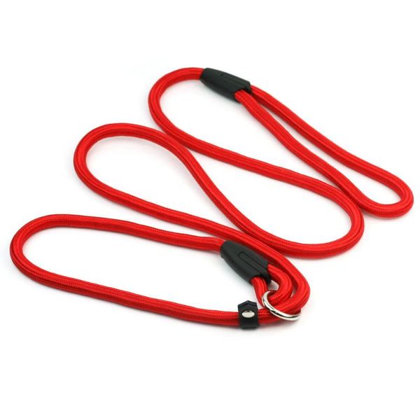 dog collars & leashes 1x nylon walk walking leash adjustable rope lead harness safety belt for pet training collar small puppy
dog collars & leashes 1x nylon walk walking leash adjustable rope lead harness safety belt for pet training collar small puppy