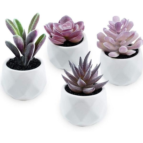 decorative flowers & wreaths artificial succulent plants lifelike potted decors mini succulents moldel with white fake pots geometric patter
decorative flowers & wreaths artificial succulent plants lifelike potted decors mini succulents moldel with white fake pots geometric patter