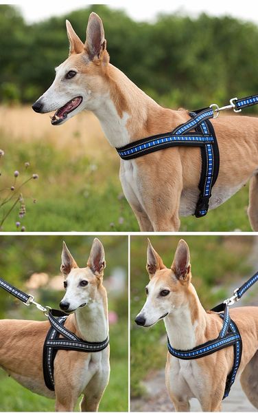 medium large dog harness high-quality nylon stripe traction reflective diving material 2021 ing
medium large dog harness high-quality nylon stripe traction reflective diving material 2021 ing
