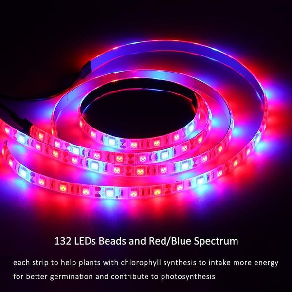 strips led plant growth light dimmable level grow strip full spectrum auto on off for indoor plants usb time
strips led plant growth light dimmable level grow strip full spectrum auto on off for indoor plants usb time