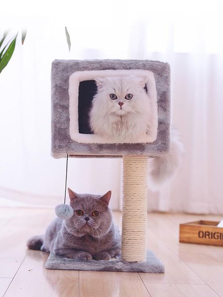 cat furniture & scratchers climbing frame scratching wood house tree mat katten krabpaal stuff jj60mzp
cat furniture & scratchers climbing frame scratching wood house tree mat katten krabpaal stuff jj60mzp