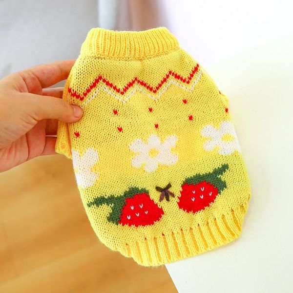 dog apparel pet sweater autumn and winter product warmth warm flower strawberry puppy clothes
dog apparel pet sweater autumn and winter product warmth warm flower strawberry puppy clothes