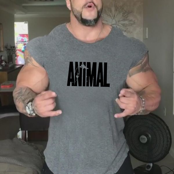 2021 gyms workout sleeveless shirt tank men bodybuilding clothing fitness mens sportwear vests muscle men tanktop, Black;green
2021 gyms workout sleeveless shirt tank men bodybuilding clothing fitness mens sportwear vests muscle men tanktop, Black;green