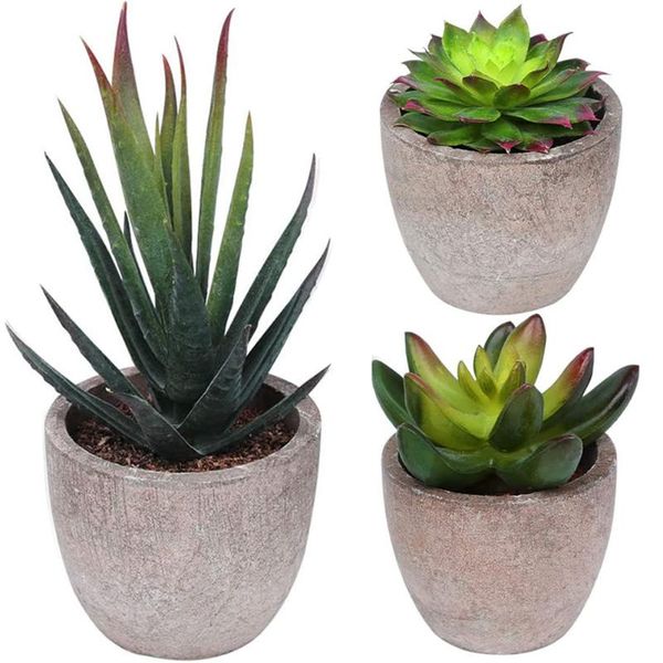 decorative flowers & wreaths artificial succulent fake plants realistic faux gardening plant pot non toxic for home office indoor decoration
decorative flowers & wreaths artificial succulent fake plants realistic faux gardening plant pot non toxic for home office indoor decoration