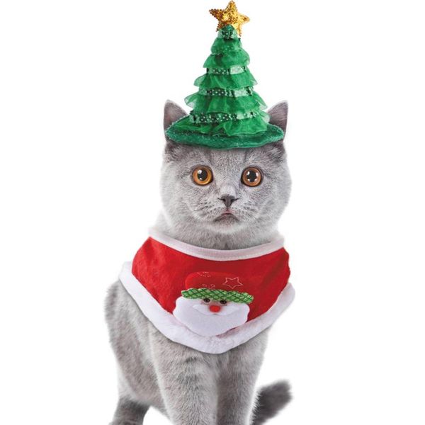 cat costumes cats christmas halloween party tree hat and bib set pet pography decoration scarf for xmas holiday daily wear
cat costumes cats christmas halloween party tree hat and bib set pet pography decoration scarf for xmas holiday daily wear