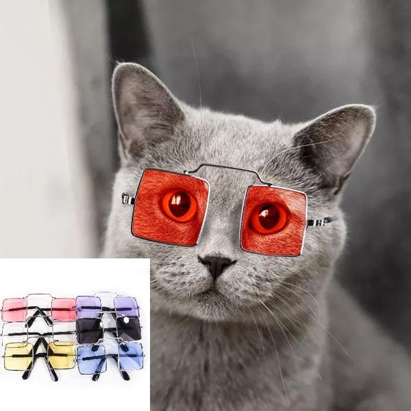 cat costumes pet dog sunglasses for little dogs eye wear pos props funny supplies toys accessories 8cm
cat costumes pet dog sunglasses for little dogs eye wear pos props funny supplies toys accessories 8cm