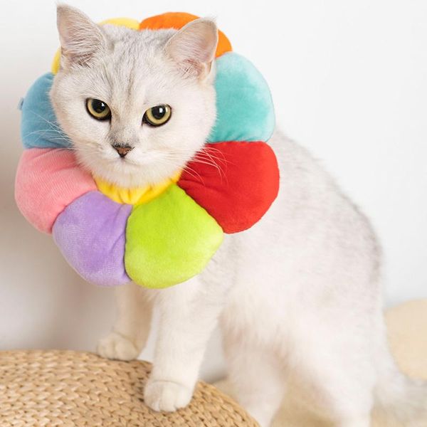 cat collars & leads cute pet sun flower collar soft cotton dog adjustable wound healing e-collar prevent bite neck ring protection necklace
cat collars & leads cute pet sun flower collar soft cotton dog adjustable wound healing e-collar prevent bite neck ring protection necklace