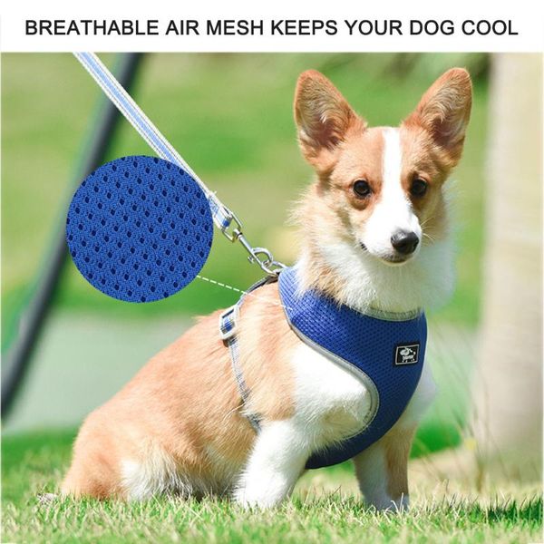 dog apparel polyester heavy duty pet harness collar adjustable padded extra big large medium small harnesses vest husky supplies
dog apparel polyester heavy duty pet harness collar adjustable padded extra big large medium small harnesses vest husky supplies