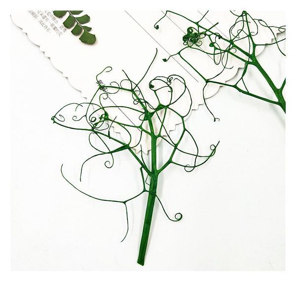 16pcs,natural pressed eternal flowers pea seedlings,diy wedding invitation craft gift bookmark decoration,scented candle decor qyldhx
16pcs,natural pressed eternal flowers pea seedlings,diy wedding invitation craft gift bookmark decoration,scented candle decor qyldhx