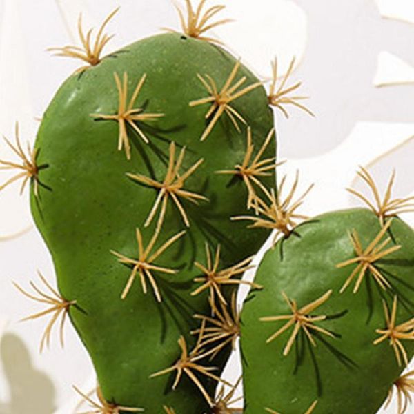 decorative flowers & wreaths artificial fake plant realistic potted plants simulation deskcactus landscape wedding decor for home
decorative flowers & wreaths artificial fake plant realistic potted plants simulation deskcactus landscape wedding decor for home