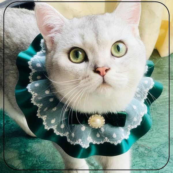 cat collars & leads collar pet jewelry dog lace bibs handmade dark green temperamen bows tie puppy grooming accessories
cat collars & leads collar pet jewelry dog lace bibs handmade dark green temperamen bows tie puppy grooming accessories