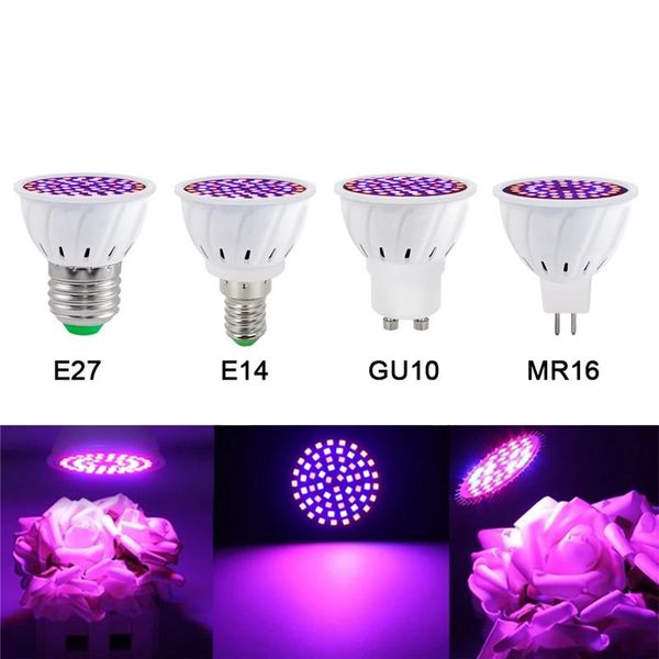 phyto led gu10 hydroponic growth light e27 led grow bulb mr16 full spectrum 60 80leds lamp plant 220v flower seedling fitolamp
phyto led gu10 hydroponic growth light e27 led grow bulb mr16 full spectrum 60 80leds lamp plant 220v flower seedling fitolamp