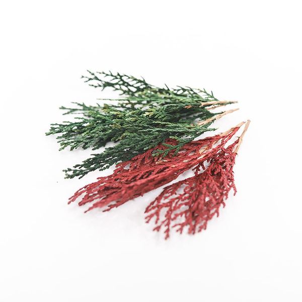 decorative flowers & wreaths 2g/bag pine and cypress branches leaves diy scented candle eternal flower dried green embellished
decorative flowers & wreaths 2g/bag pine and cypress branches leaves diy scented candle eternal flower dried green embellished
