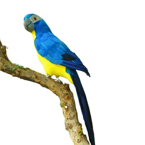 decorative objects & figurines yard artificial parrot shop window christmas party feather bird budgie
decorative objects & figurines yard artificial parrot shop window christmas party feather bird budgie